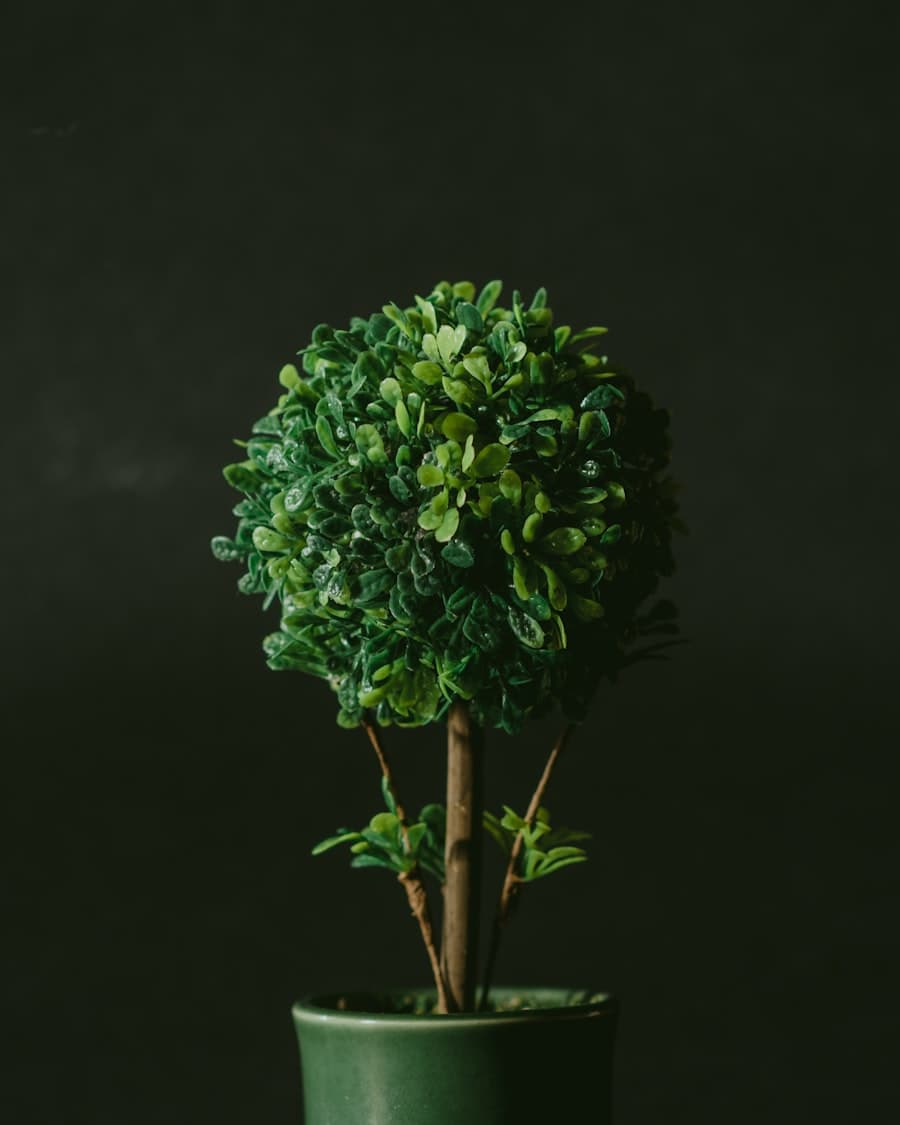 Trees & Topiary collection