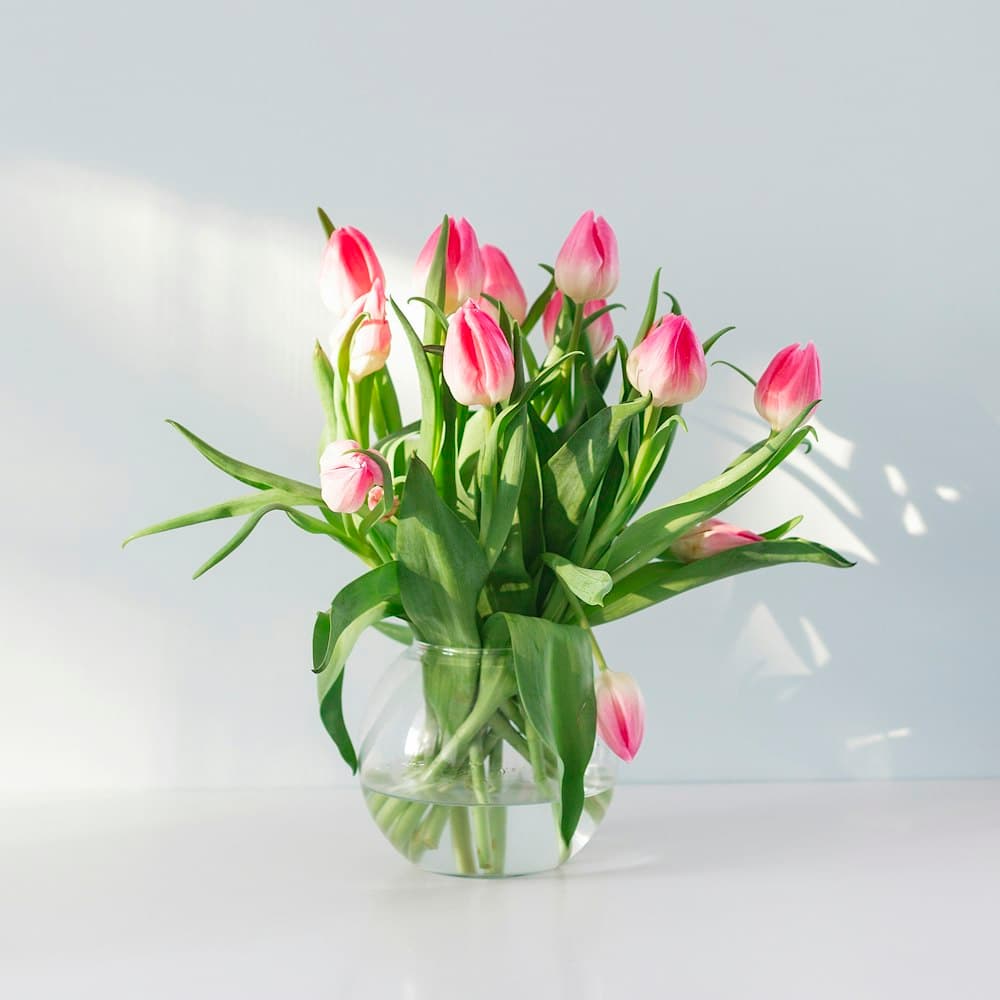 Dutch Tulip Bundle — 19" real-touch latex