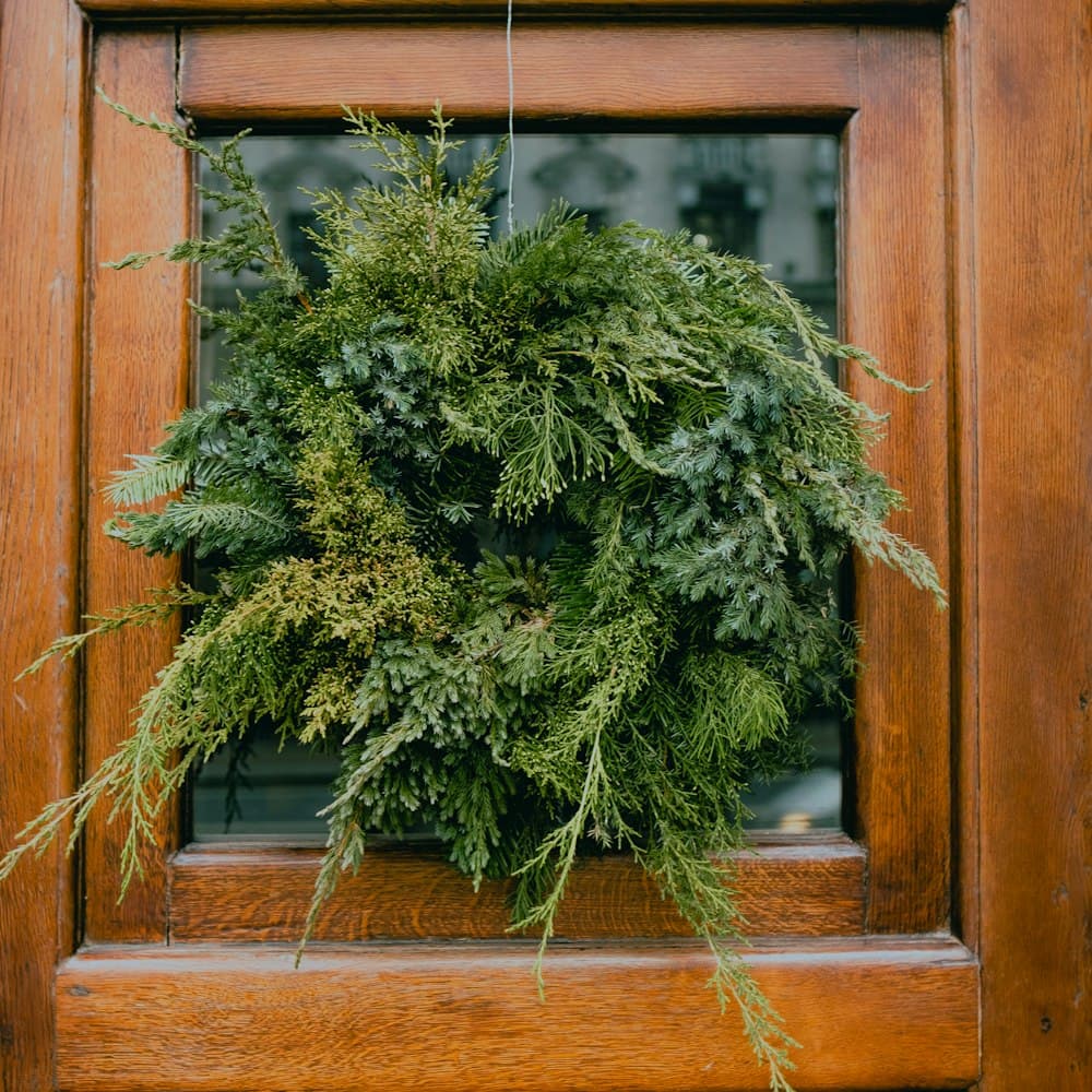 Frosted Cedar Wreath 28" — 28" dia pe cedar, glitter frost