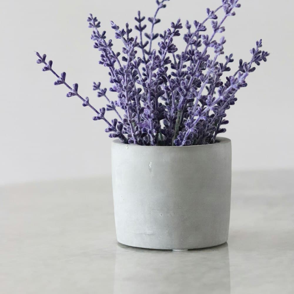Lavender Bundle — 17" flocked poly floret