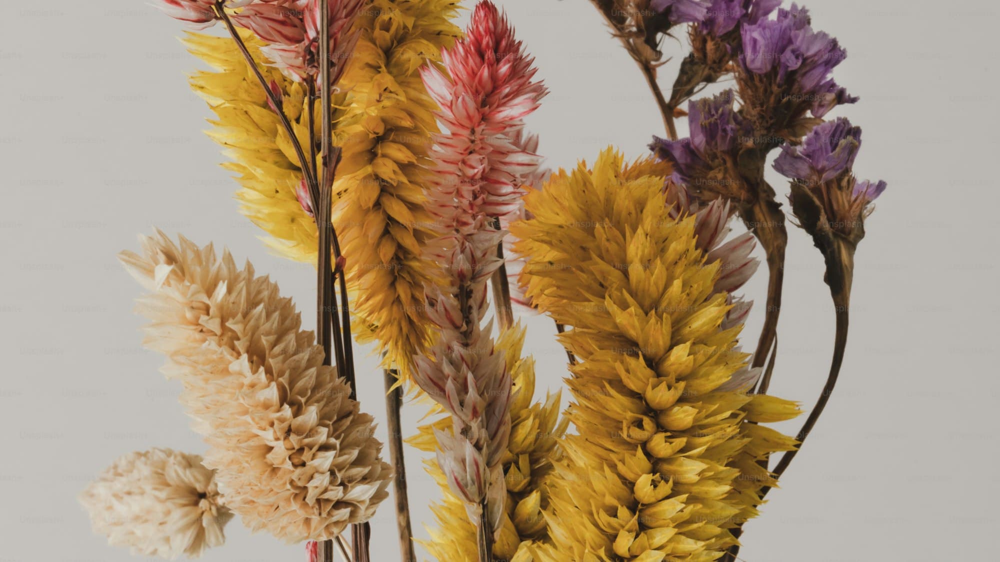 A styled arrangement of dried and permanent botanicals against a warm neutral backdrop